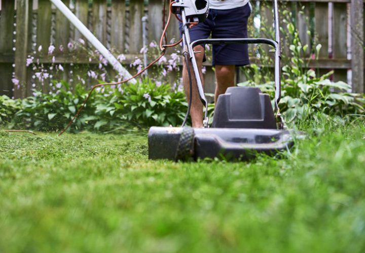 a guy mowing his lawn, flower shrubs and wood fence at the background